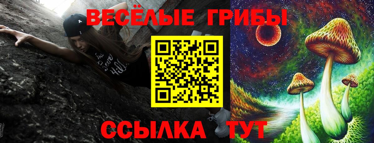 Сосновый Бор  Псилоцибиновые грибы GOLDEN TEACHER  Вход с VPN  Галлюциногенные грибы ЛСД 