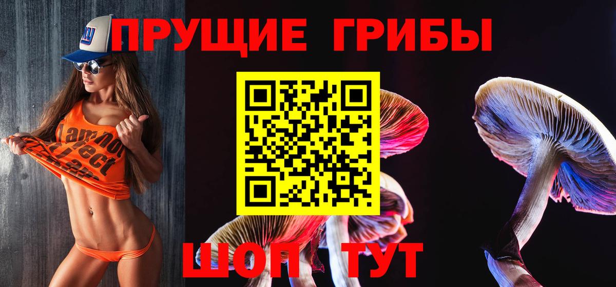 Галлюциногенные грибы Psilocybine cubensis Сосновый Бор