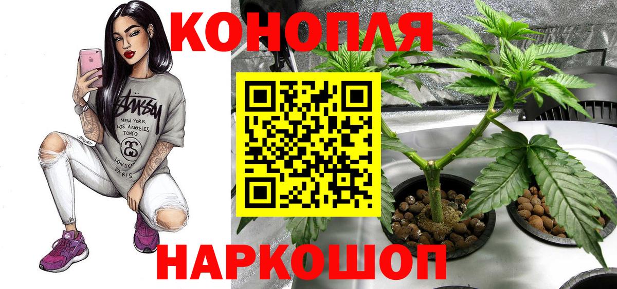 Бошки марихуана VHQ  Вход с VPN  Каннабис ГИДРОПОН  Бошки марихуана марихуана  Сосновый Бор 